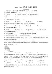 河南省郑州市郑州经济技术开发区2022-2023学年八年级上学期期末数学试题(无答案)(无答案)