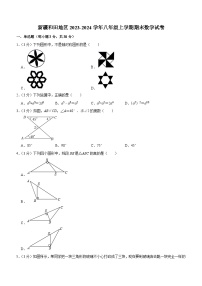 新疆和田地区2023-2024学年八年级上学期期末数学试卷(含解析)