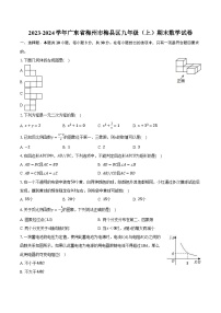 2023-2024学年广东省梅州市梅县区九年级（上）期末数学试卷(含解析）
