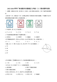 2023-2024学年广东省惠州市惠城区九年级（上）期末数学试卷(含解析）