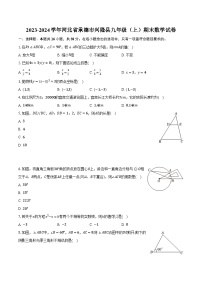 2023-2024学年河北省承德市兴隆县九年级（上）期末数学试卷(含解析）