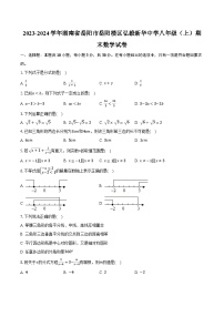 2023-2024学年湖南省岳阳市岳阳楼区弘毅新华中学八年级（上）期末数学试卷(含解析）