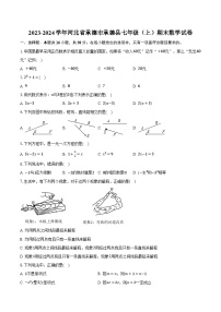 2023-2024学年河北省承德市承德县七年级（上）期末数学试卷(含解析）