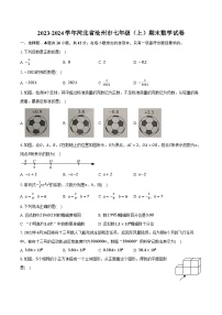 2023-2024学年河北省沧州市七年级（上）期末数学试卷(含解析）