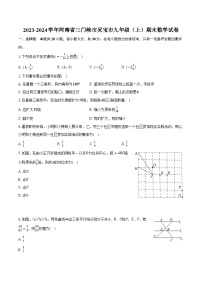 2023-2024学年河南省三门峡市灵宝市九年级（上）期末数学试卷(含解析）