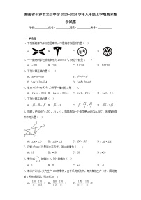 湖南省长沙市立信中学2023-2024学年八年级上学期期末数学试题(含答案)