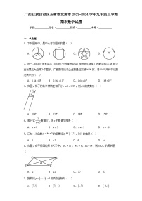 广西壮族自治区玉林市北流市2023-2024学年九年级上学期期末数学试题(含答案)