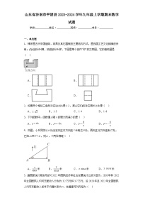 山东省济南市平阴县2023-2024学年九年级上学期期末数学试题(含答案)