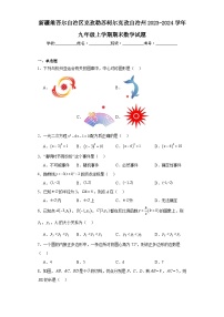 新疆维吾尔自治区克孜勒苏柯尔克孜自治州2023-2024学年九年级上学期期末数学试题(含答案)