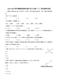 2023-2024学年湖南省株洲市渌口区九年级（上）期末数学试卷(含解析）