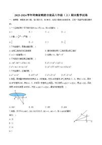 河南省鹤壁市浚县2023—-2024学年上学期八年级期末数学试卷