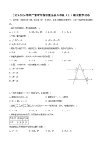 2023-2024学年广东省河源市紫金县八年级（上）期末数学试卷（含解析）