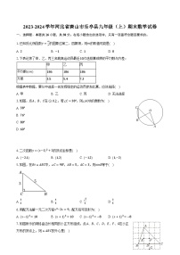 2023-2024学年河北省唐山市乐亭县九年级（上）期末数学试卷（含解析）