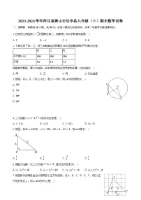 2023-2024学年河北省唐山市乐亭县九年级（上）期末数学试卷（含解析）