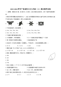 2023-2024学年广东省阳江市九年级（上）期末数学试卷（含解析）