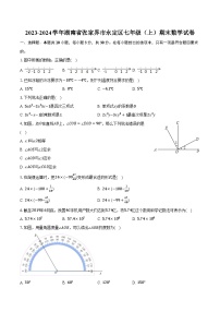 2023-2024学年湖南省张家界市永定区七年级（上）期末数学试卷（含解析）