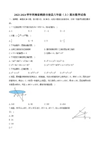 2023-2024学年河南省鹤壁市浚县八年级（上）期末数学试卷（含解析）