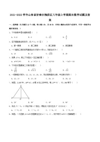 2021-2022学年山东省济南市槐荫区八年级上学期期末数学试题及答案