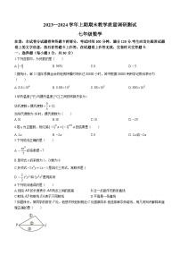 河南省鹤壁市2023-2024学年七年级上学期期末数学试题