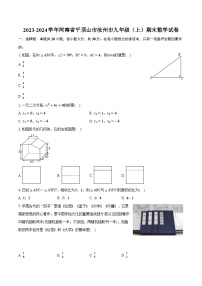 2023-2024学年河南省平顶山市汝州市九年级（上）期末数学试卷（含解析）