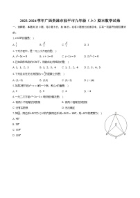 2023-2024学年广西贵港市桂平市九年级（上）期末数学试卷（含解析）