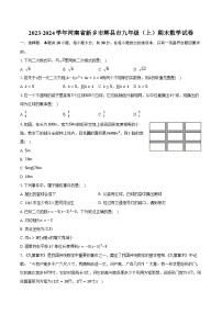 2023-2024学年河南省新乡市辉县市九年级（上）期末数学试卷（含解析）