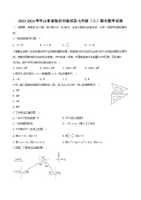 2023-2024学年山东省临沂市临沭县七年级（上）期末数学试卷（含解析）