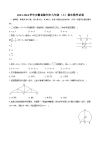 2023-2024学年安徽省滁州市九年级（上）期末数学试卷（含解析）