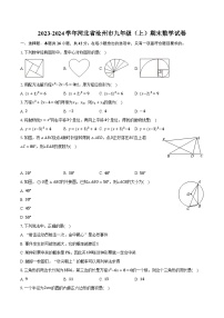 2023-2024学年河北省沧州市九年级（上）期末数学试卷（含解析）