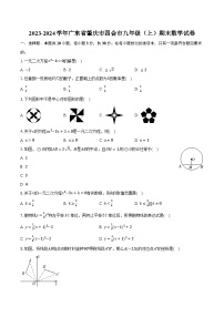 2023-2024学年广东省肇庆市四会市九年级（上）期末数学试卷（含解析）