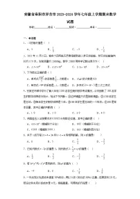 安徽省阜阳市界首市2023-2024学年七年级上学期期末数学试题(含答案)