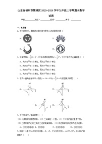 山东省德州市陵城区2023-2024学年九年级上学期期末数学试题(含答案)