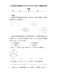 山东省临沂市蒙阴县2023-2024学年九年级上学期期末数学试题(含答案)