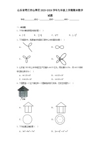 山东省枣庄市山亭区2023-2024学年九年级上学期期末数学试题(含答案)