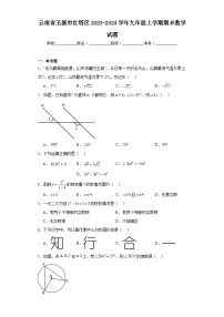 云南省玉溪市红塔区2023-2024学年九年级上学期期末数学试题(含答案)