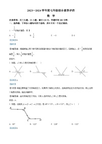 河南省周口市淮阳区淮阳中学2023-2024学年七年级上学期期末数学试题