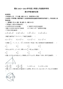 河南省周口市商水县2023-2024学年九年级上学期期末数学试题()