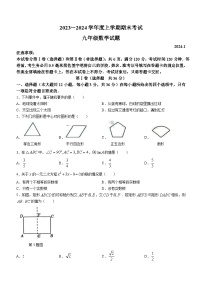 山东省临沂市临沭县2023-2024学年九年级上学期期末数学试题