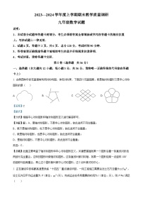 山东省临沂市蒙阴县2023-2024学年九年级上学期期末数学试题