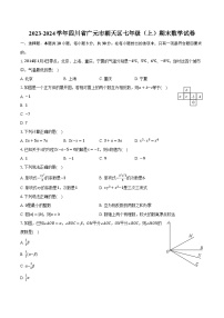 四川省广元市朝天区2023-2024学年七年级上学期期末数学试卷