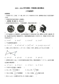 河南省驻马店市西平县2023-2024学年八年级上学期期末数学试题（含答案）