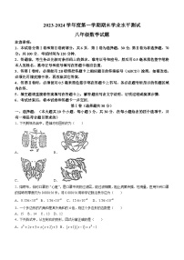 山东省济宁市嘉祥县2023-2024学年八年级上学期期末数学试题（含答案）