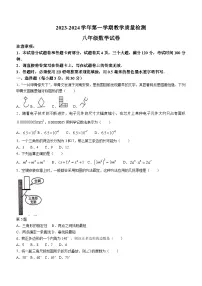 河南省安阳市殷都区2023-2024学年八年级上学期期末数学试题(含答案)
