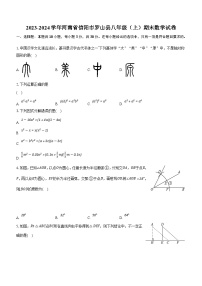 河南省信阳市罗山县2023-2024学年八年级上学期期末数学试卷（含解析）