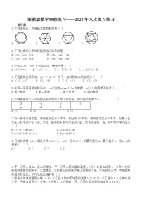 2023-2024学年浙教版数学八年级上寒册假复习练习(含答案)