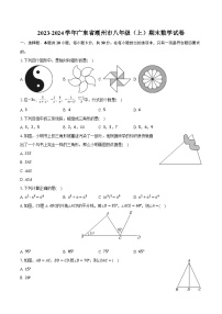 2023-2024学年广东省潮州市八年级（上）期末数学试卷（含解析）