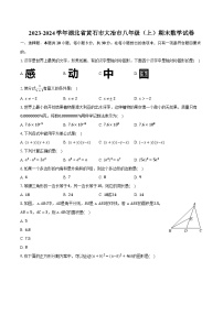 2023-2024学年湖北省黄石市大冶市八年级（上）期末数学试卷（含解析）