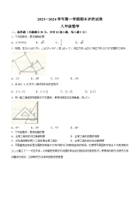 河南省平顶山市宝丰县2023-2024学年八年级上学期期末数学试题(含答案)