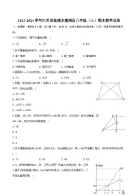 2023-2024学年江苏省盐城市建湖县八年级（上）期末数学试卷（含解析）