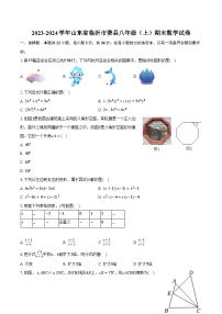 2023-2024学年山东省临沂市费县八年级（上）期末数学试卷（含解析）